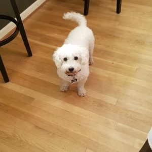 Meet your Posher, Teresa